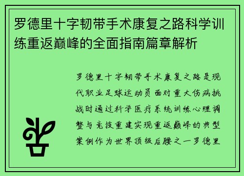 罗德里十字韧带手术康复之路科学训练重返巅峰的全面指南篇章解析